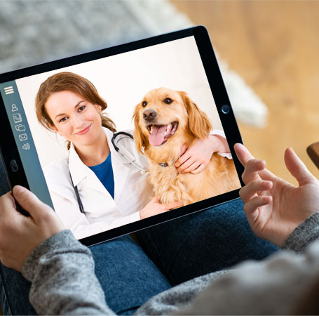 Telemedicine Services Are Now Available
